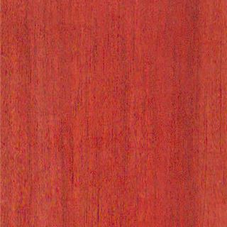 南美血檀 Bloodwood